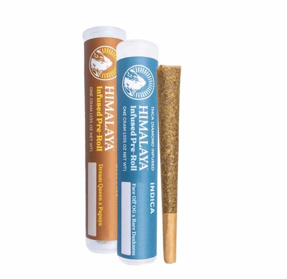 Himalaya - 1g Infused Pre-Roll (Gov't Oasis)