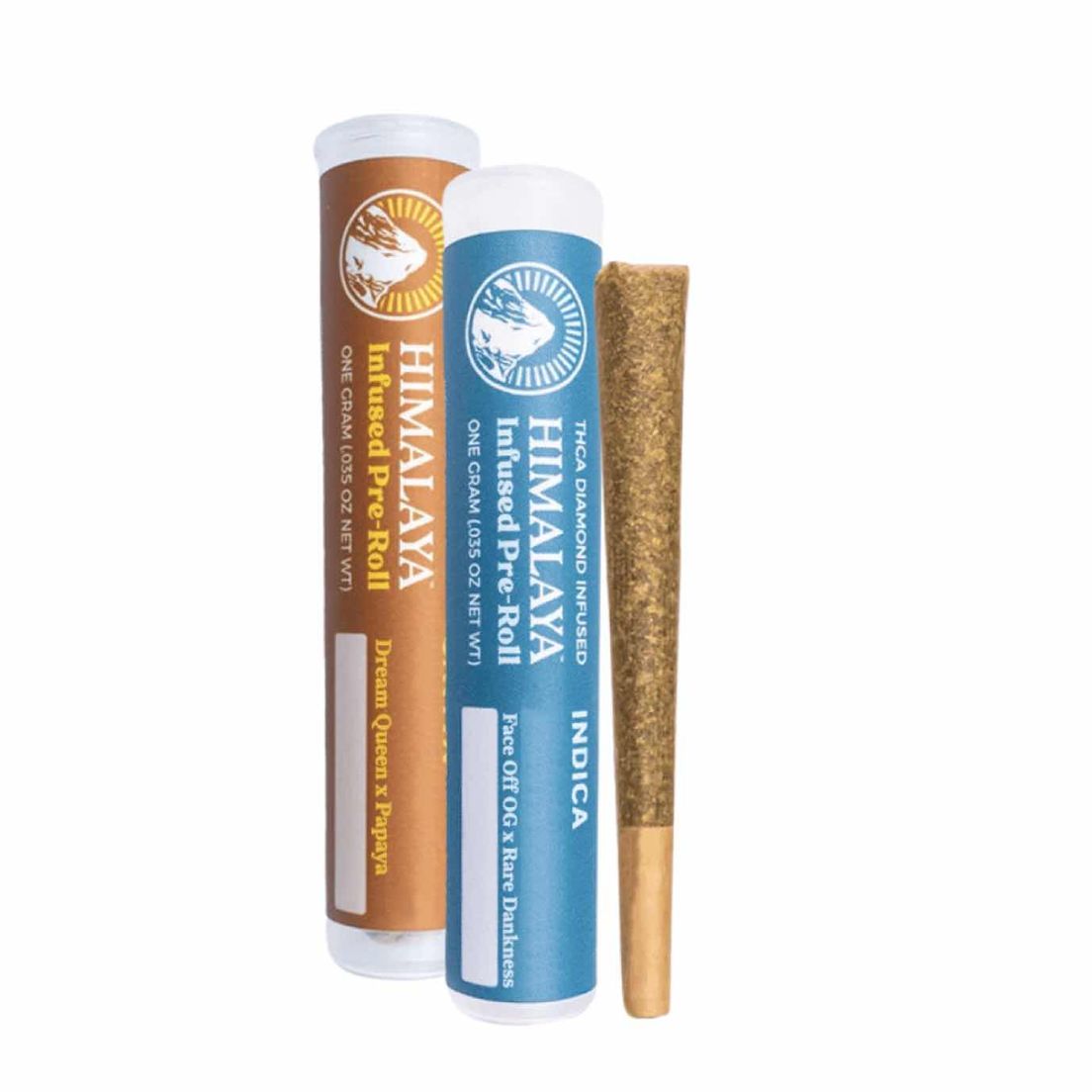 Himalaya - 1g Infused Pre-Roll (Gov't Oasis)