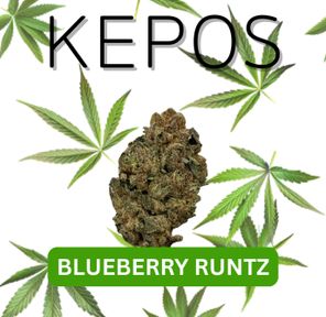Kepos - Blueberry Runtz 14g - PREMIUM FLOWER