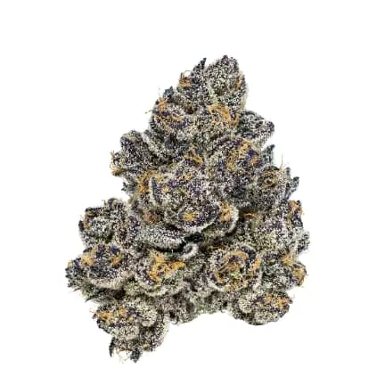 Black Velvet 7.00 g