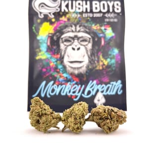 PRE-ORDER ONLY Kush Boys - Monkey Breath (26.92%/Hybrid) - 3.5 g