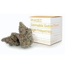 Phases - High Frequency - Electric Colada - 3.5g - Sativa