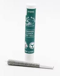 Wave Rider - 1g Pre-Roll (Moonshine Haze)