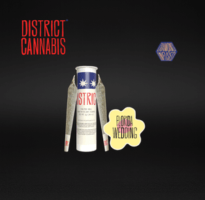 District Cannabis | Florida Wedding | Diamond Infused Pre-rolls | 0.5g Each, 2-Pack (1g Total) | Indica-Hybrid