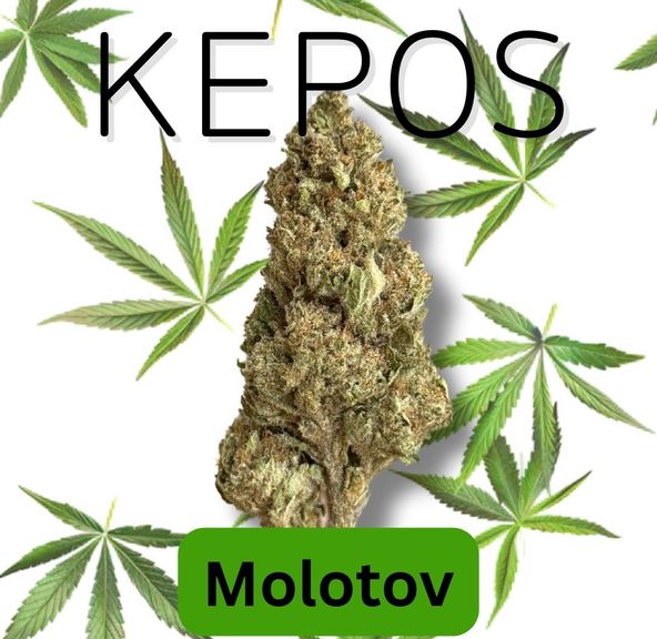 Kepos - Molotov 14g
