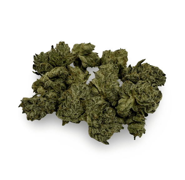 SHERBANGER OG - 28G | INDOOR SMALLS