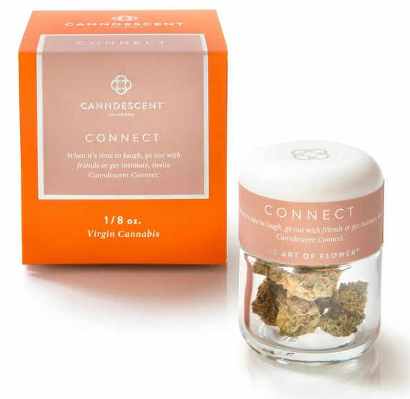 Canndescent | Flower | 3.5g | Connect | Pink Runtz