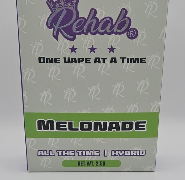 Rehab - Disposable - Melonade - 2.5G