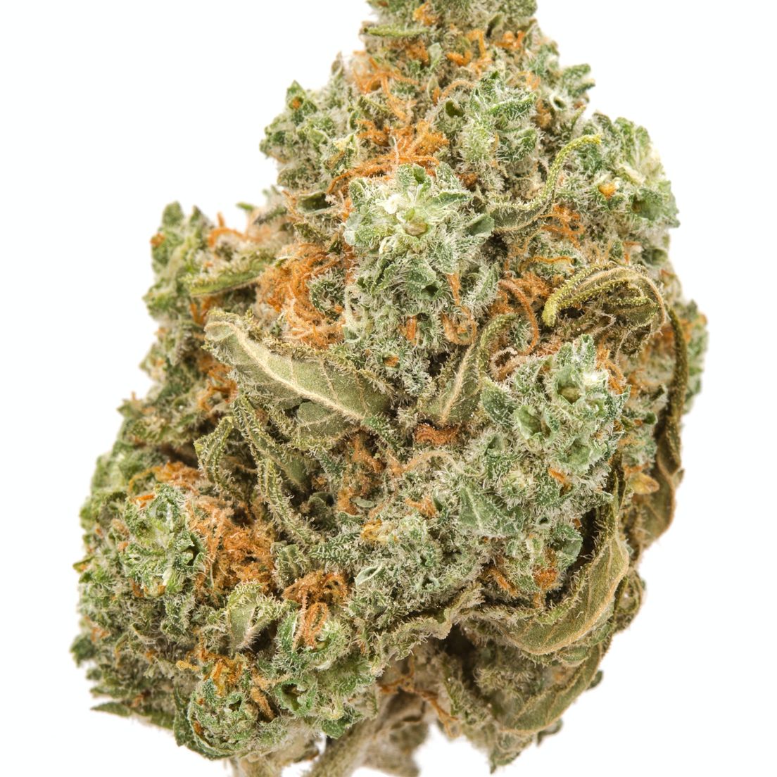 Amnesia Haze