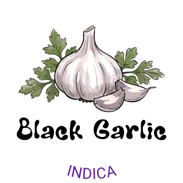 Black Garlic 3.5g