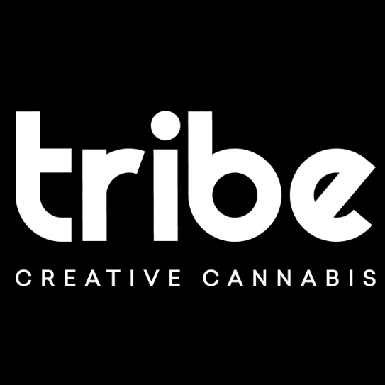 Tribe Medley - Live Resin Sugar - Big Ass Baller