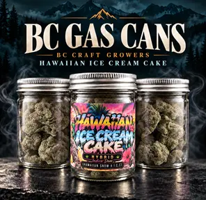[AAAA+] BC GAS CAN - Hawaiian Ice Cream Cake⛽️ - 14G