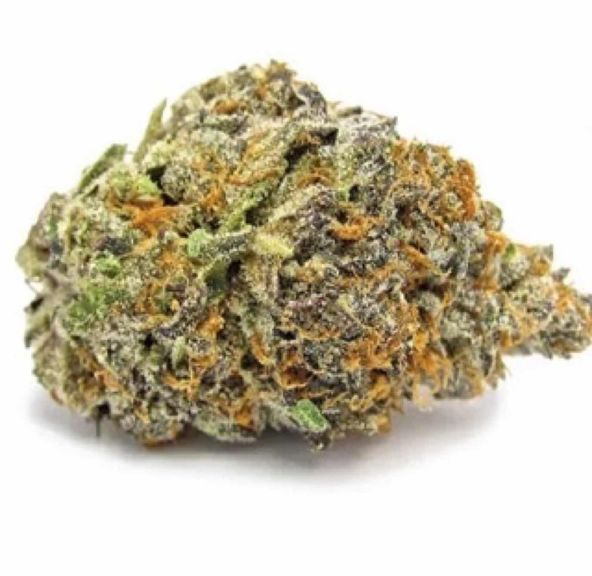 Gelato 41