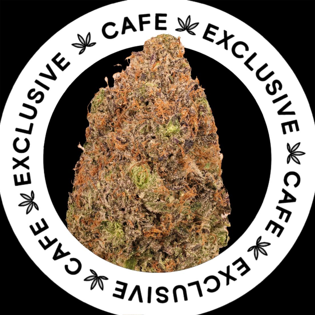 7G CAFE EXCLUSIVES- PINK GAS STATION
