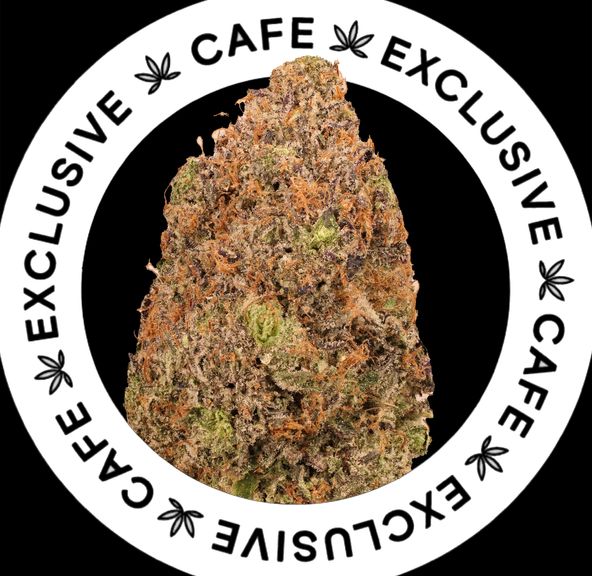 7G CAFE EXCLUSIVES- PINK GAS STATION