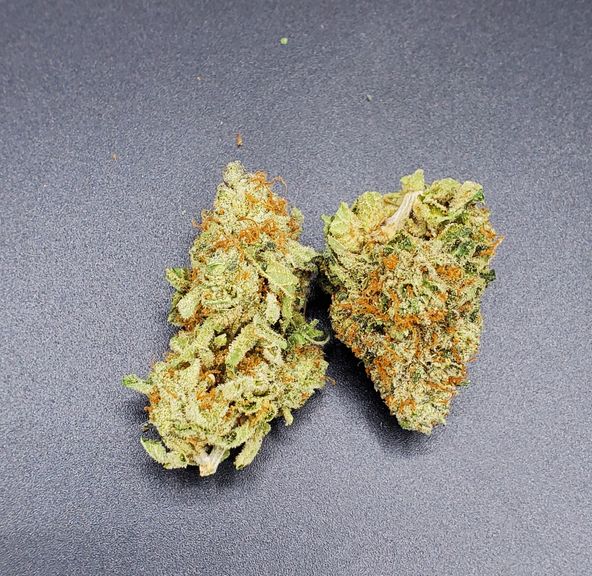 APRICOT GELATO