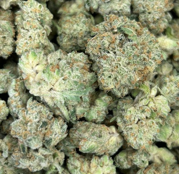 Animal Mints x SFV OG