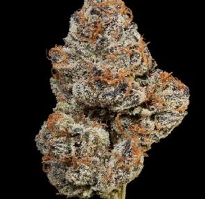 MVN - Cherry Gas - Eighth - PP