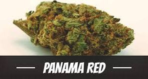 AAA Cannabis Flower - Panama Red 3.5g