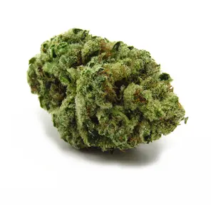 Super Glue