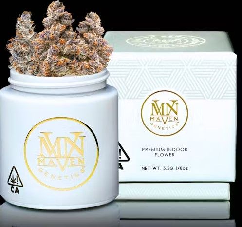 Maven Genetics - Orange Sapphire - 3.5g - Sativa