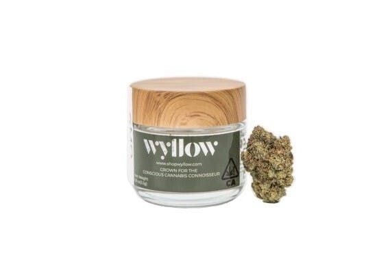 Gary P x Jealousy, 3.5G, Flower, 27.39% - Wyllow