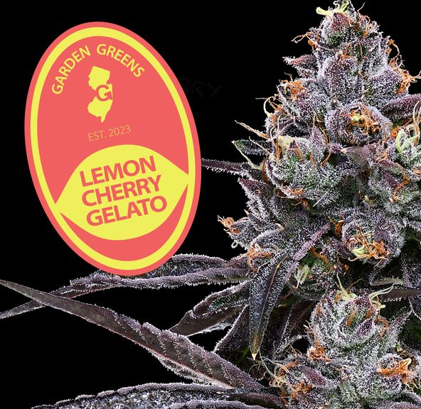 Flower: Lemon Cherry Gelato - Garden Greens - 3.5G