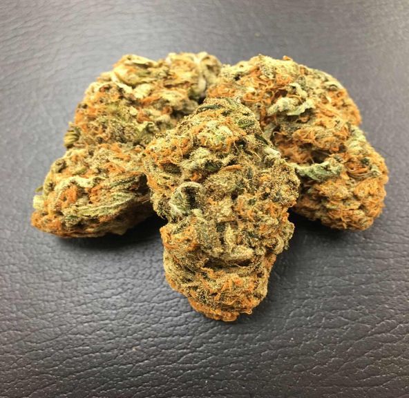 Northern Lights
