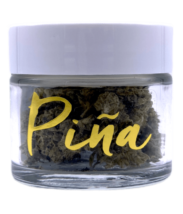 Pina - Garlic Snaps - 3.5G