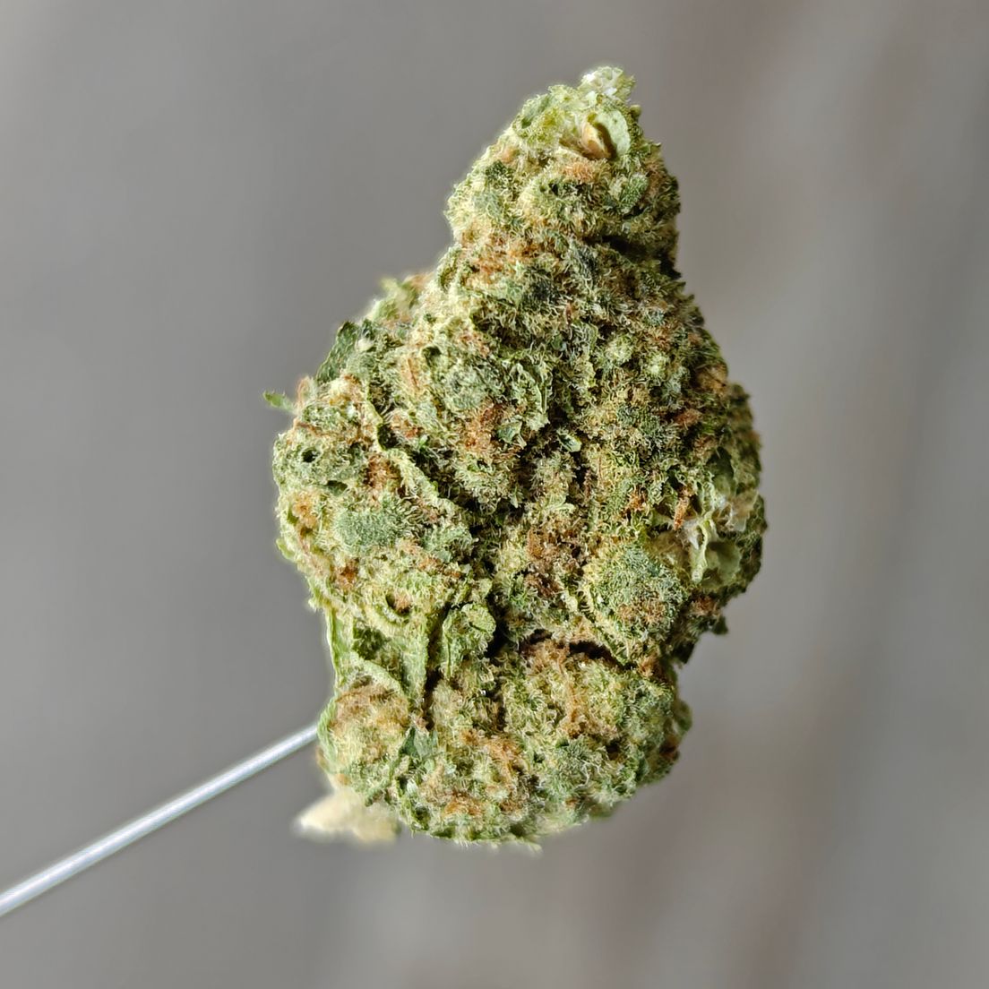 Zips - Rainbow Mintz 3.5g