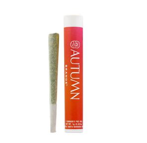 Autumn Brands | Preroll | 1g | Grape Escape