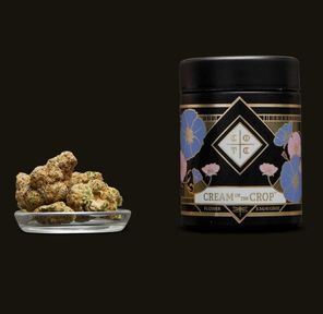B. Cream of the Crop 3.5g Flower - 9/10 - Purple Thunder (~29% THC)