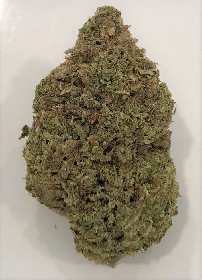 BLACK CHERRY GELATO
