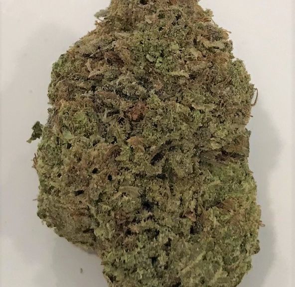 BLACK CHERRY GELATO