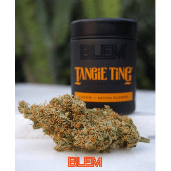 Tangie Ting