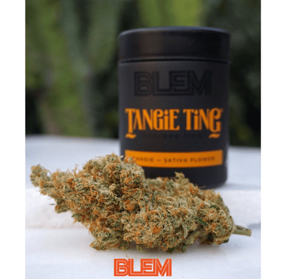 Tangie Ting