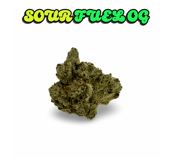 KINGS - SOUR FUEL OG - 14G | INDOOR FLOWER
