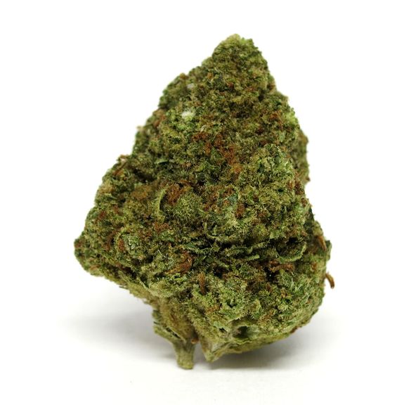 Alien OG by High Garden