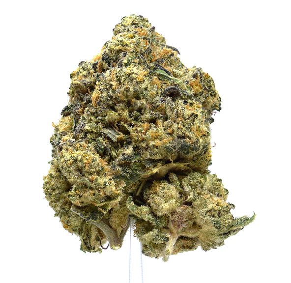 91 Octane | $100/oz