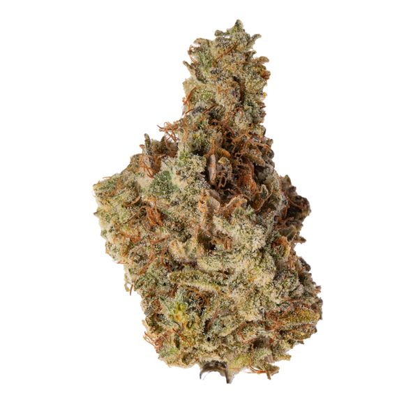 Buddha Kings Chocolate Diesel