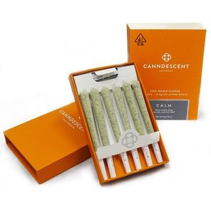 CANNDESCENT - Calm 117 - .5g Pre-roll 6 Pack