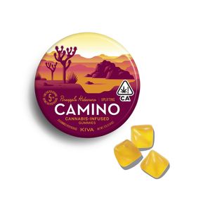 Camino | Gummies | 20pc | Uplifting | Pineapple Habanero