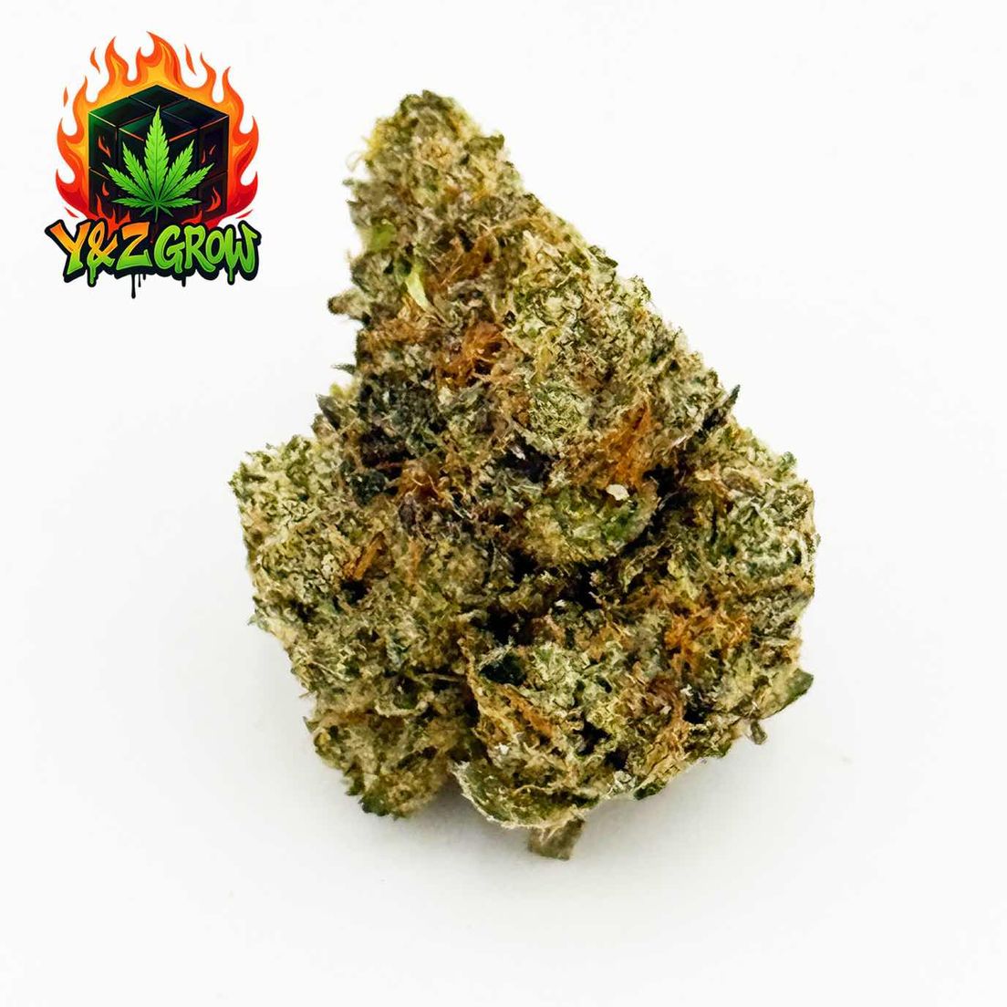 ?LIMITED TIME?Gruntz (Indica 70) - Premium Buds