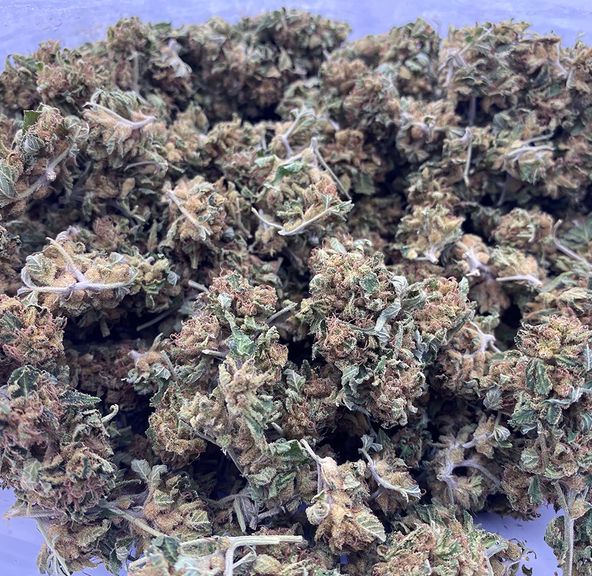 Coco Bruce AA - 7g(1/4)