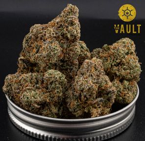 AAAA | GARY SATAN ⭐️ NEW ARRIVAL ⭐️