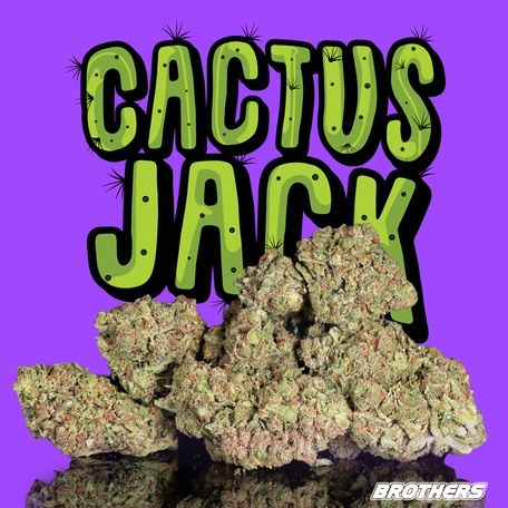 Brothers | Cactus Jack Littles 21.00% THC 3.5g