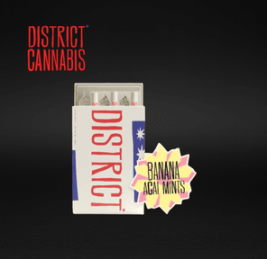 District Cannabis | Banana Açaí Mints - 6pk Pre-Rolls | .5g ea (3g total) | Hybrid