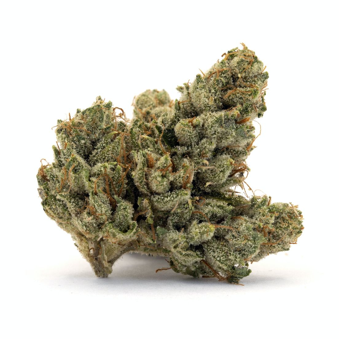 Gas Gang Flower 3.5g - Italian Ice 31%