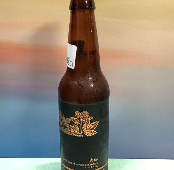 High Rollers- Papaya- Dope Brewing- Drinks- Hops Seltzer Water- THC- 5mg