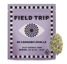 FIELD TRIP - SUPER JEALOUS - (Smalls) - 5G - INDICA